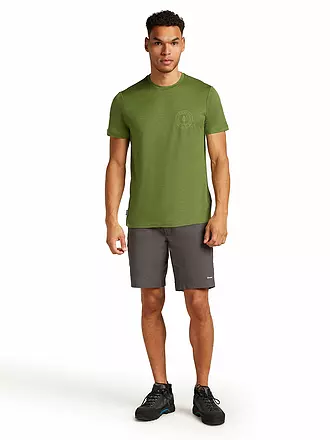 ICEBREAKER | Herren Funktionsshirt Hike 150 Tech | 